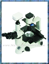 ACCU-SCOPE 3032 inverted microscope